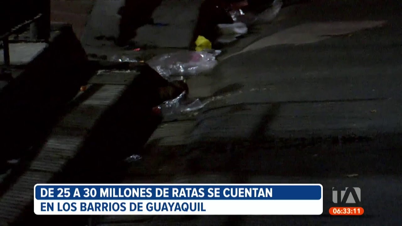 De 25 a 30 millones de ratas se cuentan en varios barrios de Guayaquil