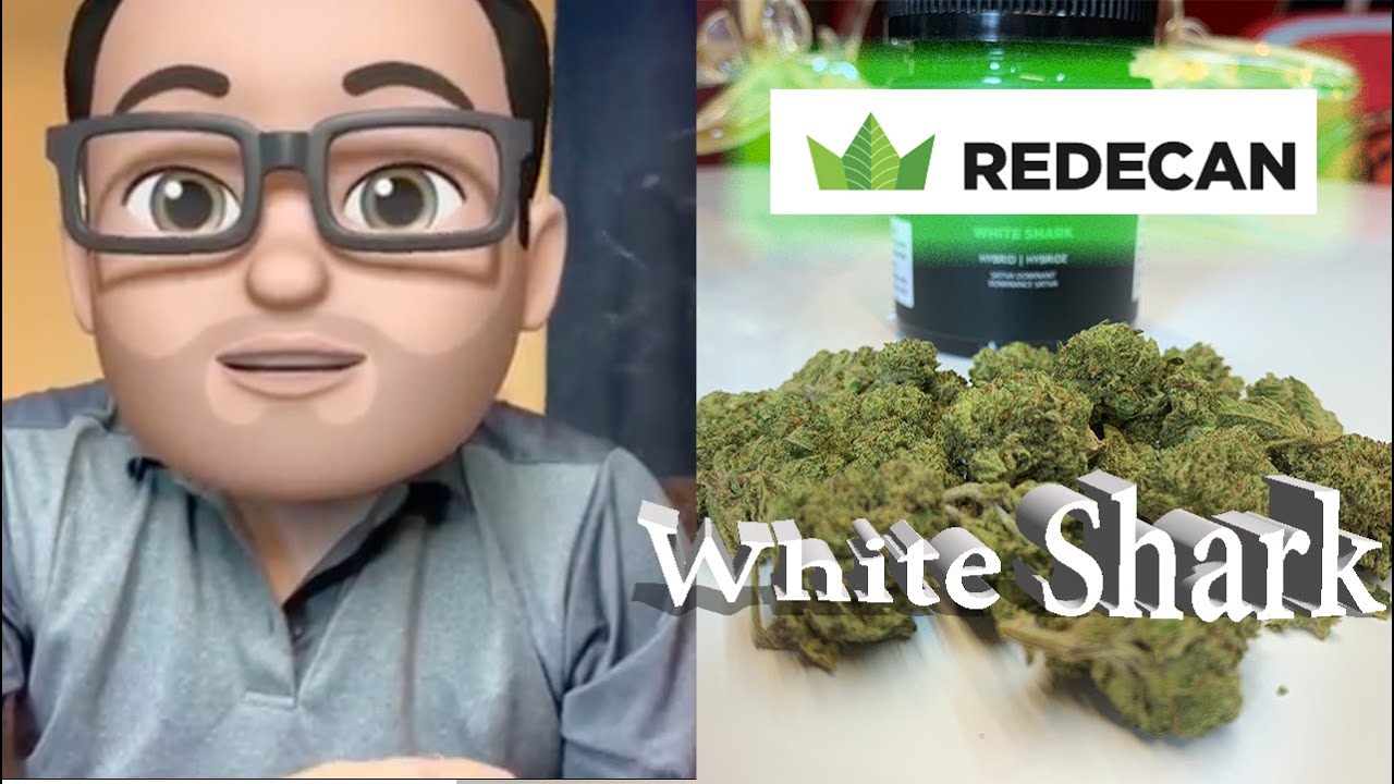Redecan's White Shark Review | Best Sativa option on OCS