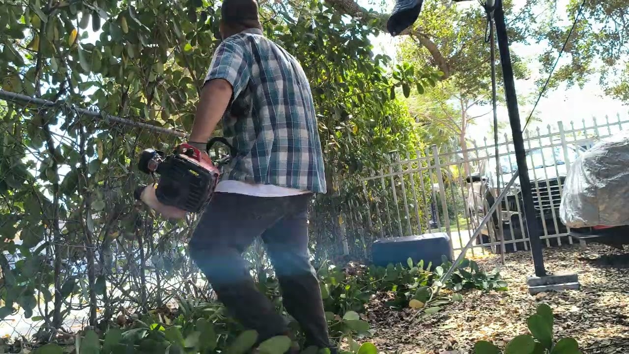 2/25/2026 Part 2. Property care front and back. Mulching  leaves and trimming big hedge 💚