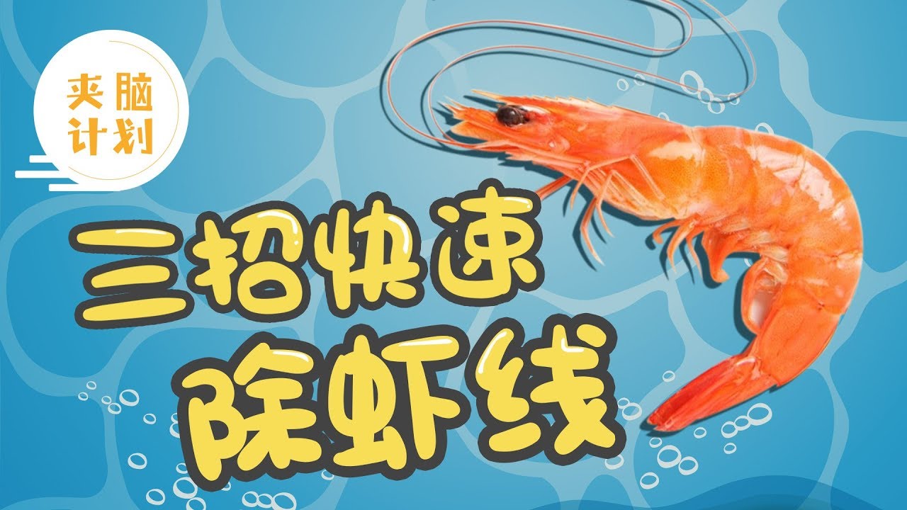 【夹脑计划】190）三招快速除虾线