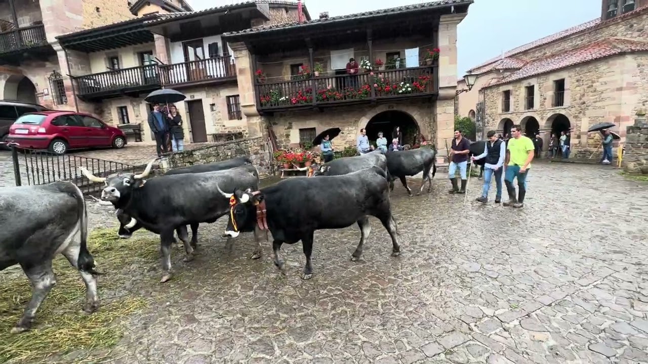 Pasá de Carmona  Tudancas 2023