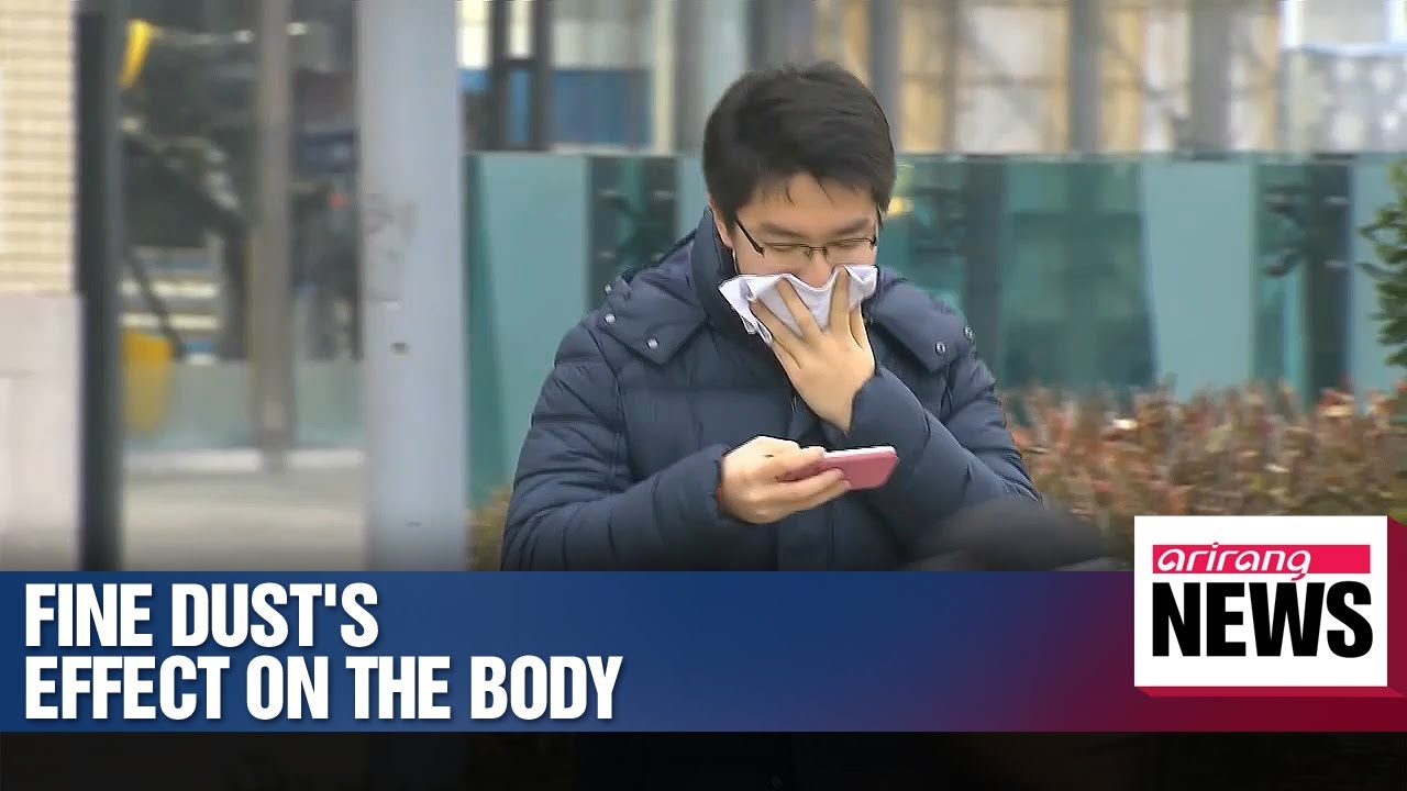 Fine dust pollution puts teens' lungs at risk
