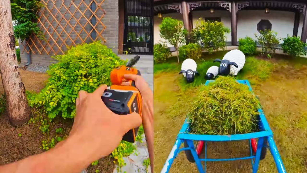 誰懂啊！在貓咪小院當一天長工也太幸福了～ 被幾十隻小貓咪包圍，餵飯、鏟屎、陪玩，累並快樂着，治愈感直接拉滿！【小锋小志的猫咪小院】