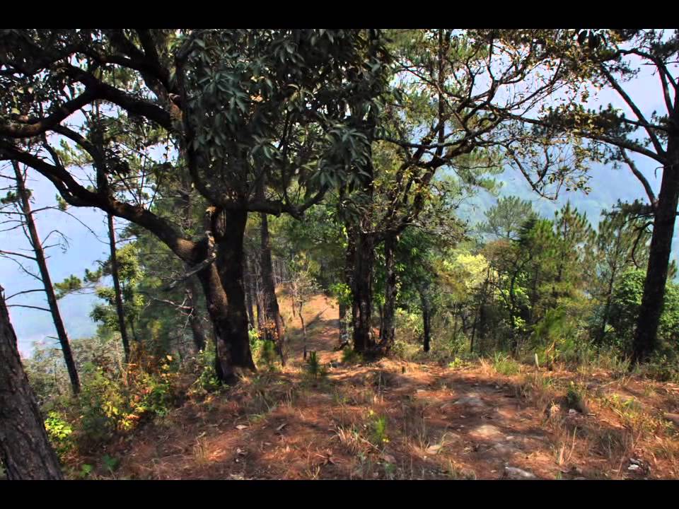Doi Pui National Park and Ban Khun Chang Khian Christendom Village, Chiang Mai, Thailand
