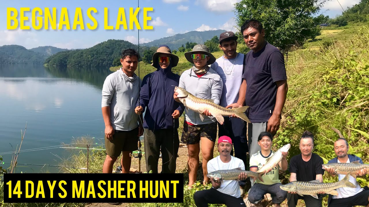 Begnas lake - Golden masher hunt / record break 