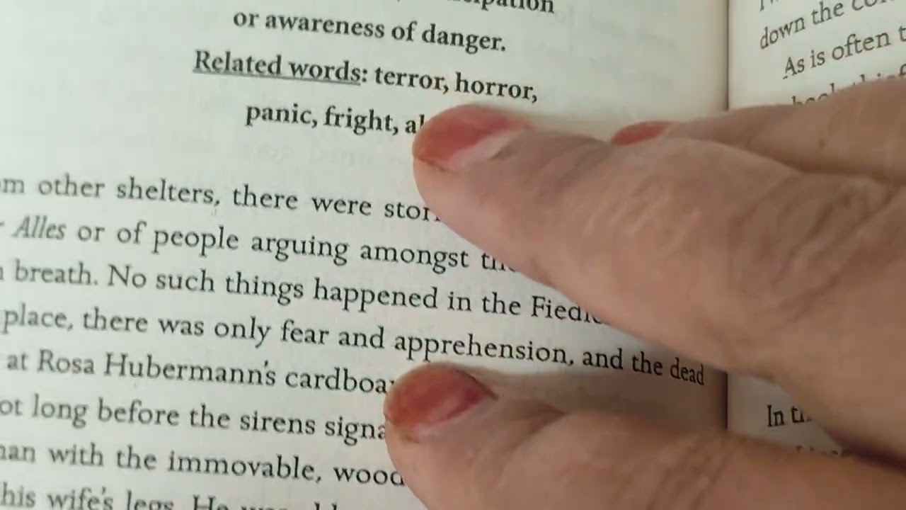 The Book Thief #Chapter 51 #The Sound of Sirens #Reading