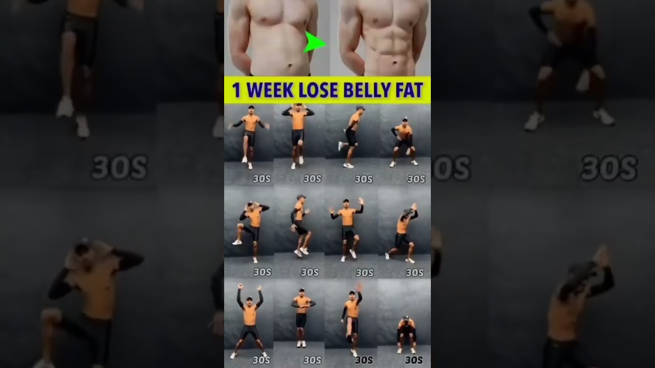 Exercise  which make loss of belly fat 