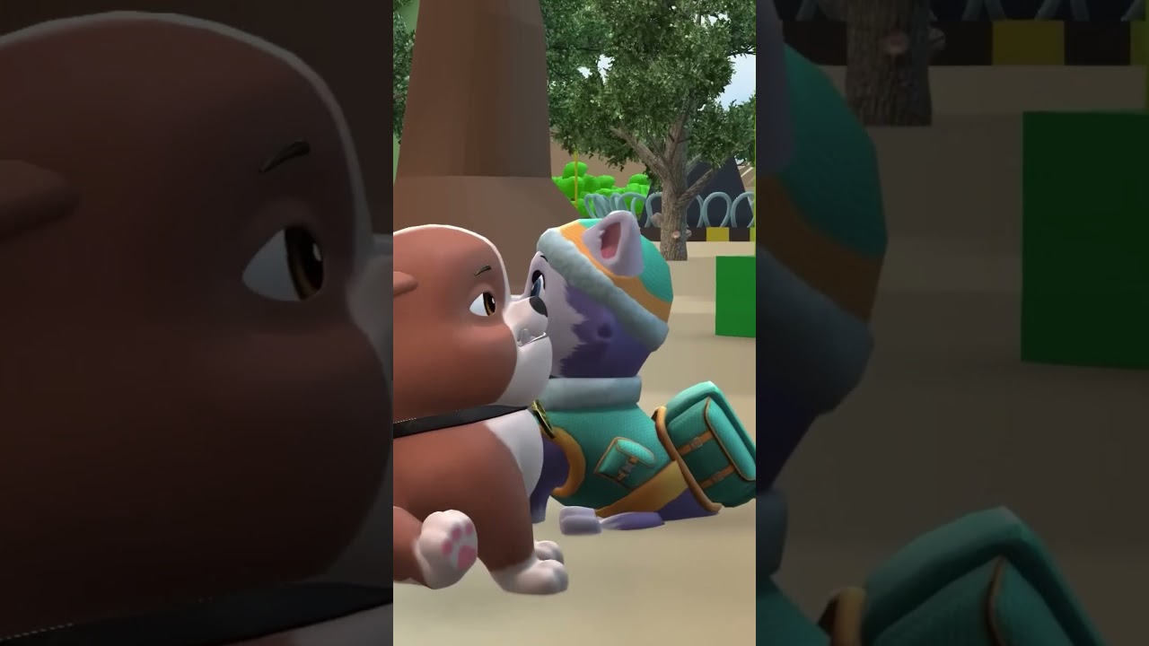 PAW Patrol Rescue World: Marshall, Rubble, Chase, Zuma, Rocky and Skye & Ryder #pawpatrol #shorts