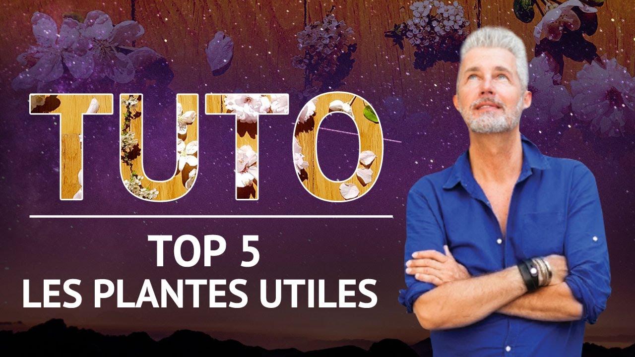 #TUTO - LES PLANTES UTILES ! COMMENT LES CHOISIR ?