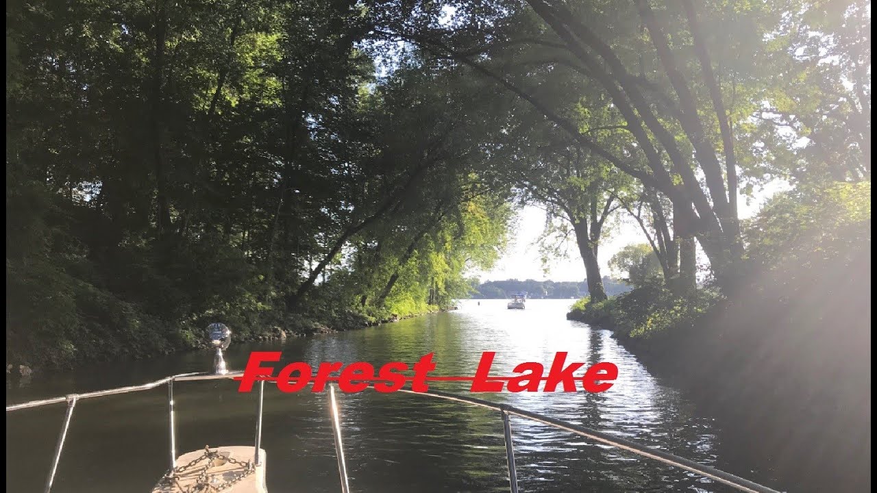 Minnetonka's Own Forest Lake