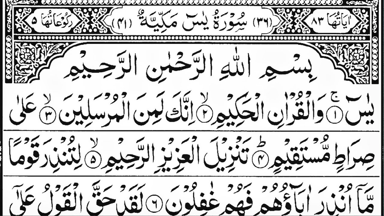 Surah Yaseen Surah Rahman | Best Qur'an Recitation | Surah Yasin Tilawat | Yaseen Shareef Full 416