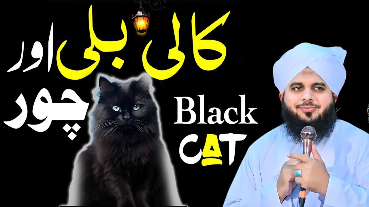 Kali bili ki manhoseat | story of Black Cat and a thief