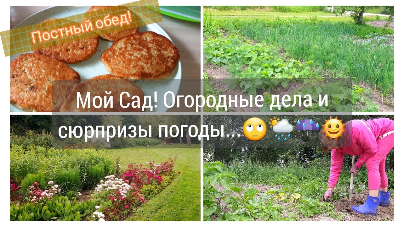 🏡Погода,мой сад и огород! Нашла работу,я больше НЕ домохозяйка.😊/ Готовим вместе😋 #уютныйдом