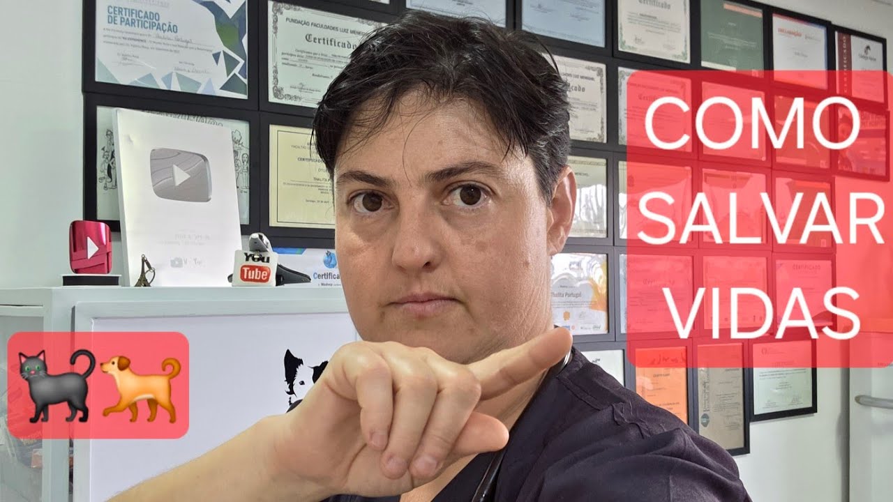CARVÃO ATIVADO PARA PETS