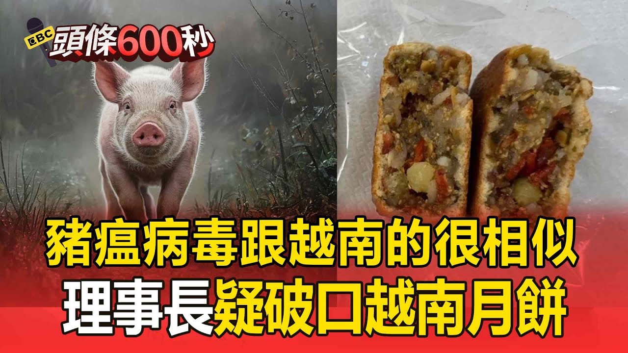 豬瘟病毒「驗出跟越南的很相似」！養豬協會理事長「懷疑破口是越南中秋月餅」【頭條600秒】