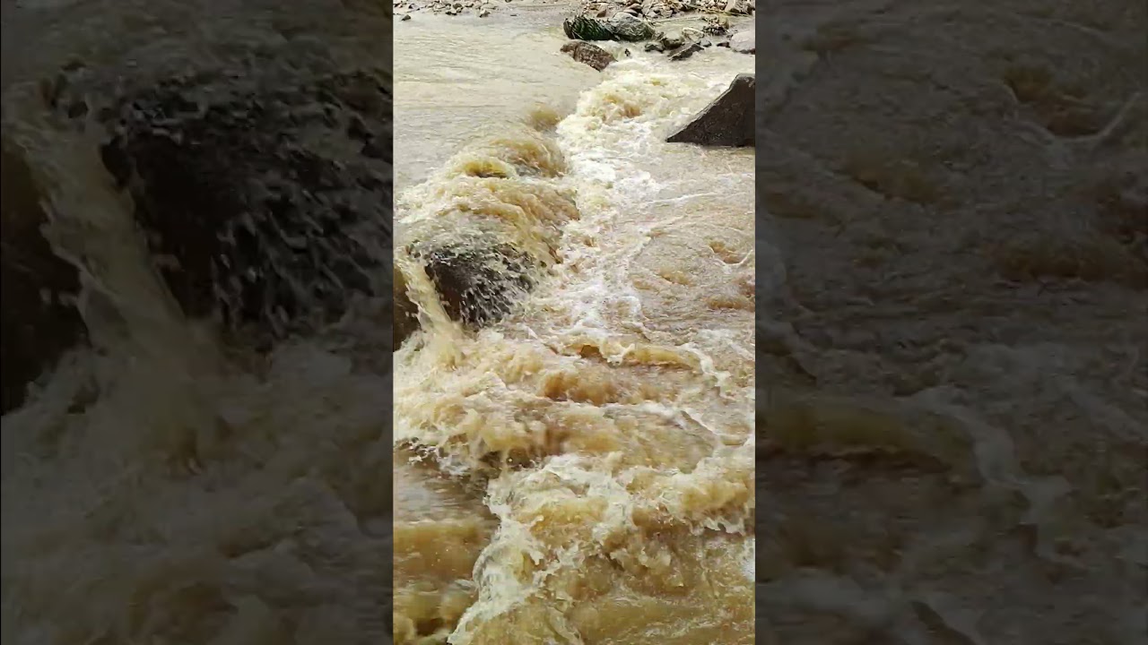 🌊Rushing River Flow | Powerful Water Sounds for Relaxation