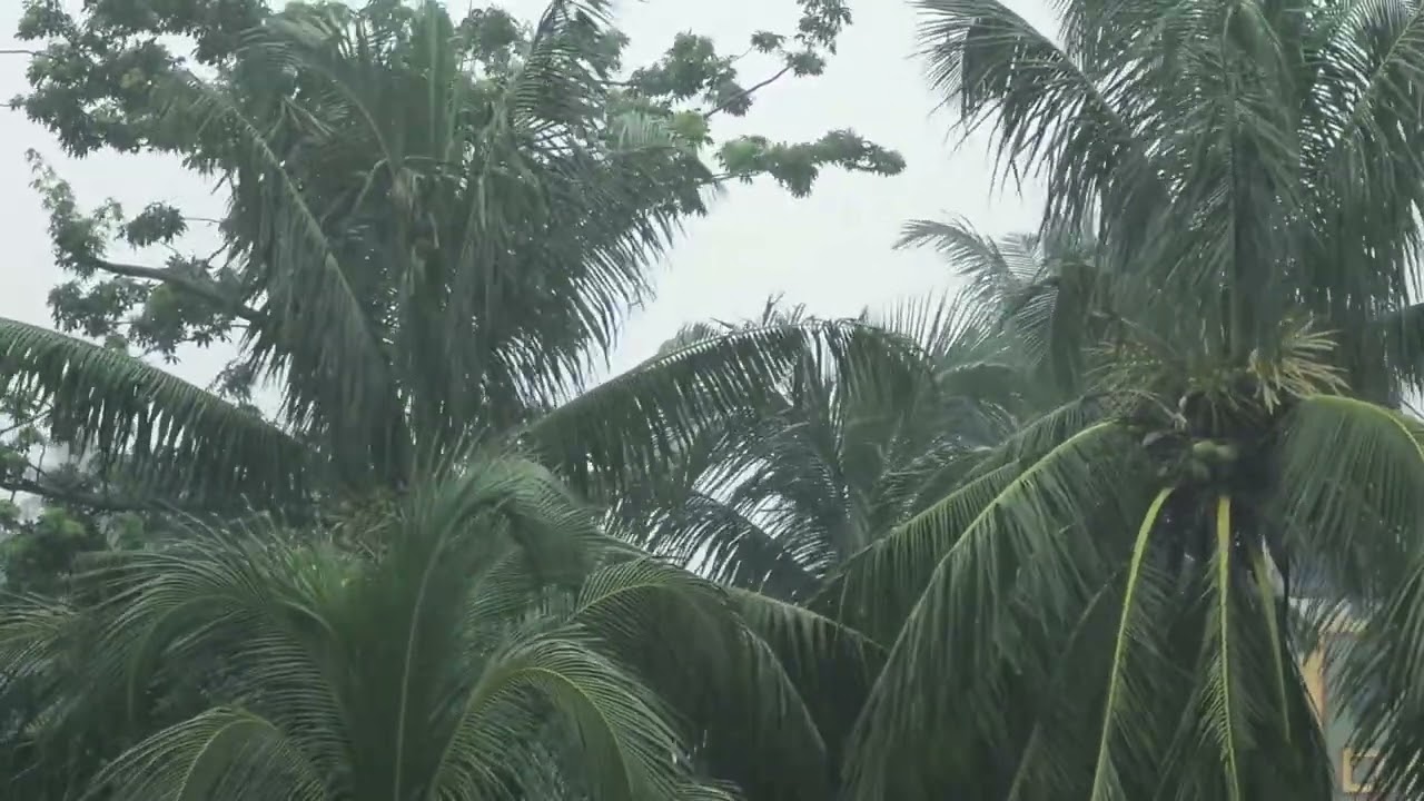 Calming Rain Sounds For Sleep | Night Rain Ambience