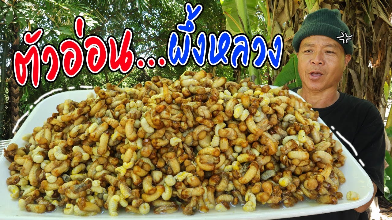 เด็ดมาก!! กินตัวอ่อนผึ้ง ผึ้งหลวง หากินยาก! หอมมันอร่อย l SAN CE