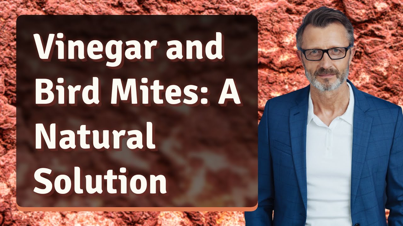 Vinegar and Bird Mites: A Natural Solution