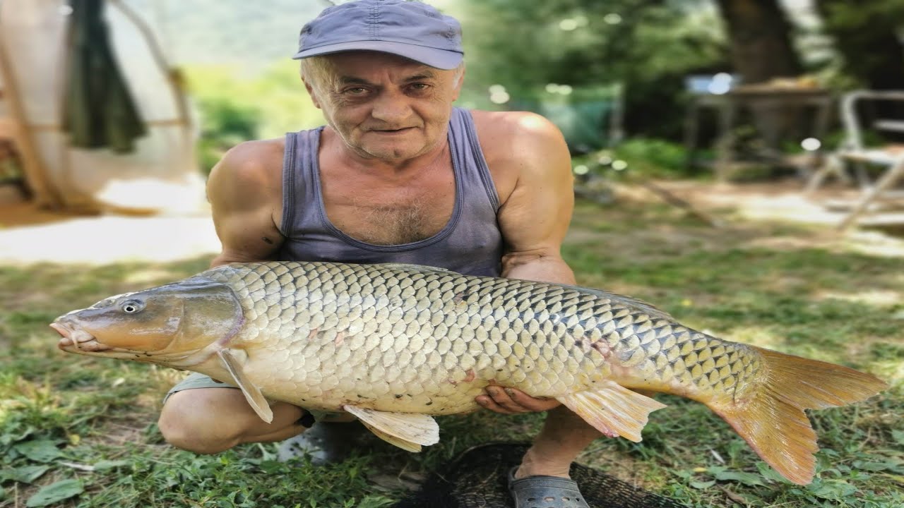 Pescuit CRAP SALBATIC URIAȘ Pe MUREȘ cu Bătrânul Pescar Dorel La Clasica Mămăligă