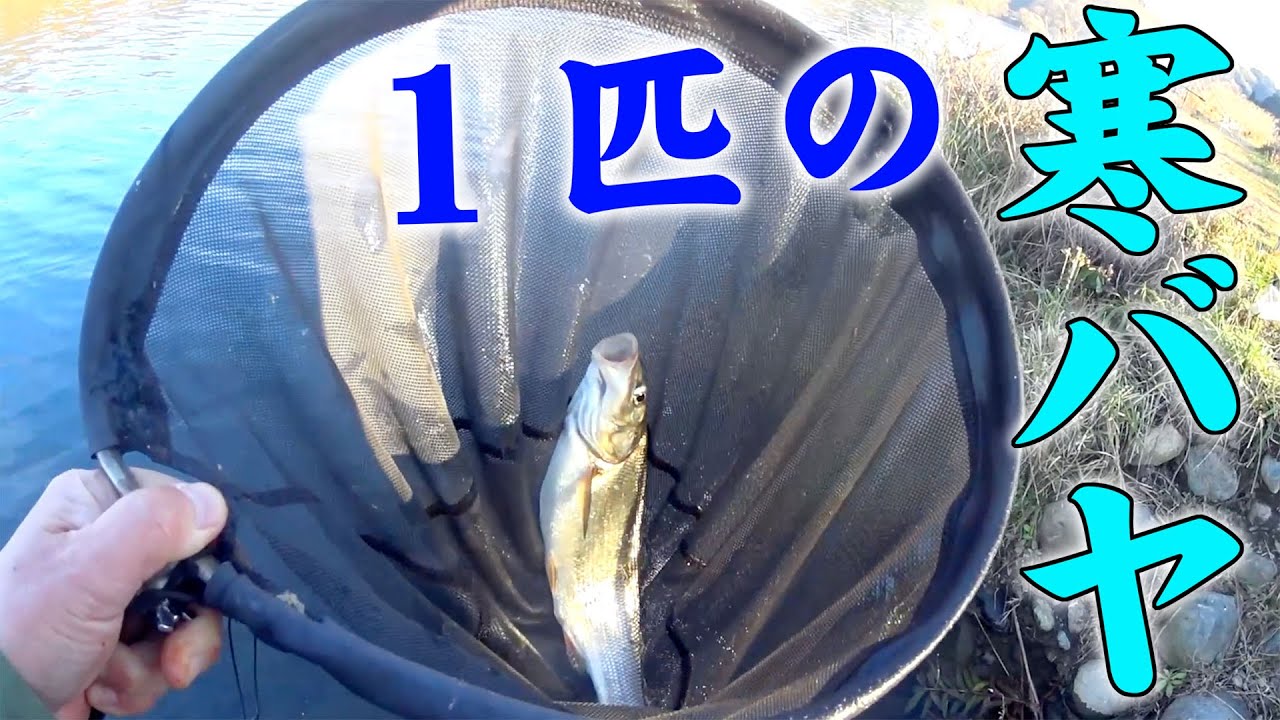 魚が1匹でも釣れれば楽しい真冬の川釣り【オンリーワンの寒バヤ塩麹焼き】