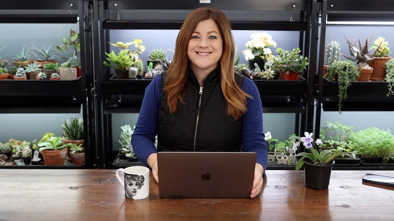 Have Your Considered No Dig No Till Method? // Do you Ever Get Fungus Gnats? // Recap 🌿