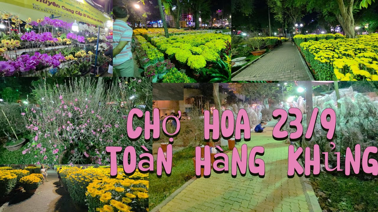 CHỢ HOA TẾT NHIỀU HÀNG CỔ THỤ MÀ NGÀY CHỦ NHẬT KHÔNG KHÍ THẬT ẢM ĐẠM