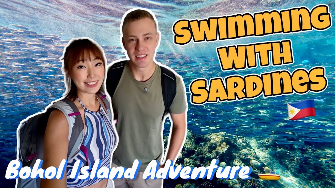 UNBELIEVABLE Sardine Run at Napaling Reef, Bohol 🇵🇭 (Philippines Bucket List)
