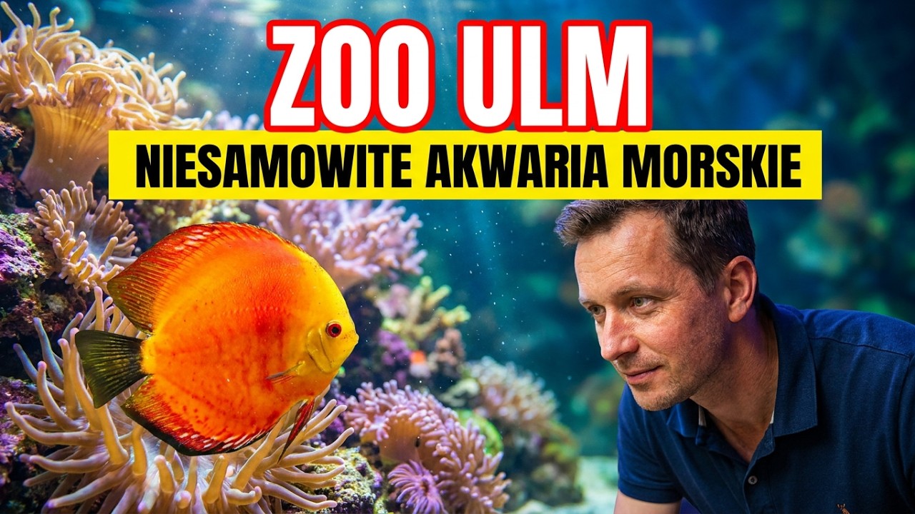 Niesamowite Akwaria Morskie | ZOO Ulm Niemcy