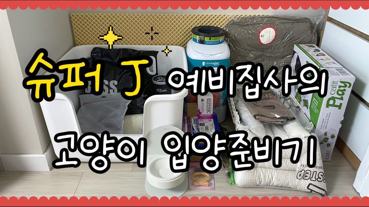 슈퍼 J 예비집사의 고양이 입양 준비기 | 고양이 필수 용품 추천 | 미고랑 Migowith