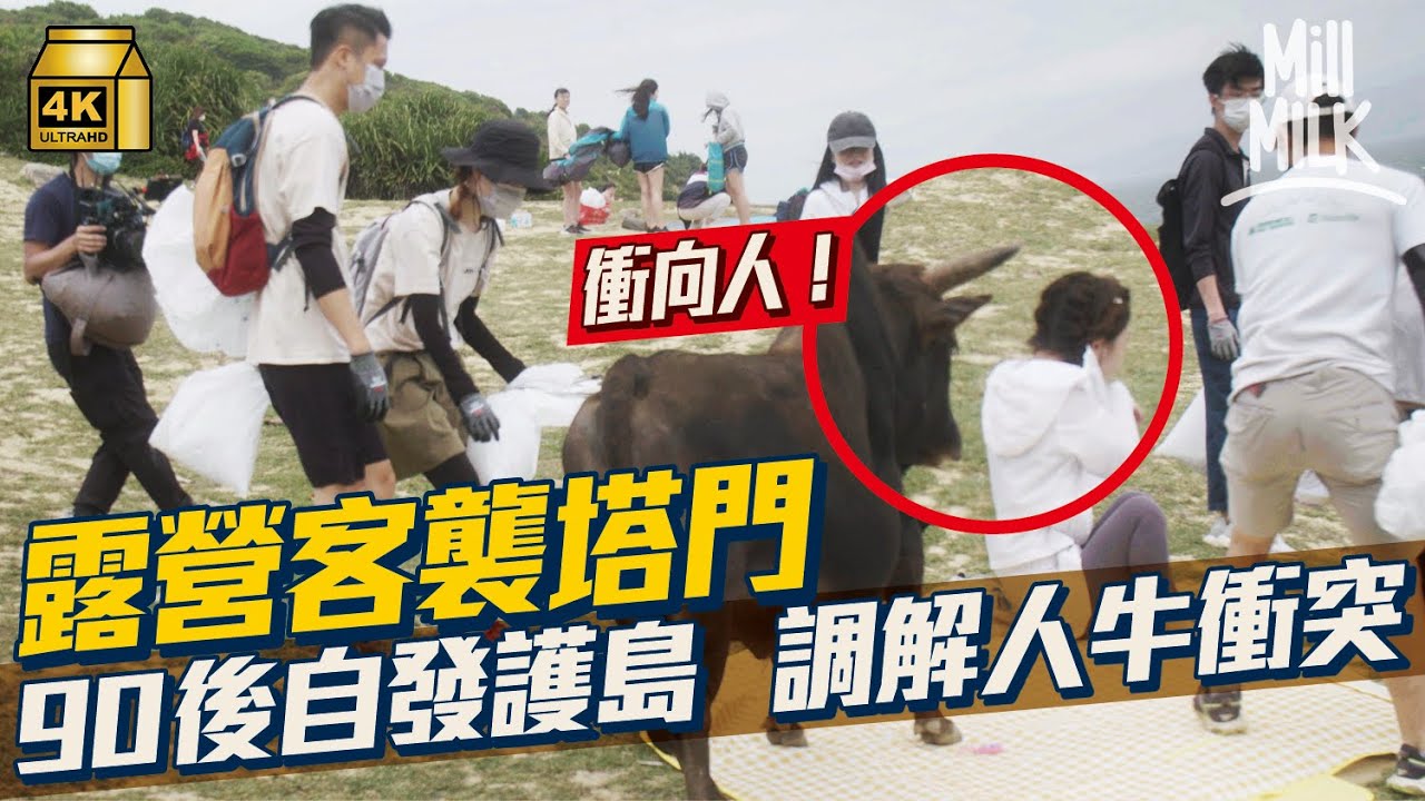 #MM｜露營客襲塔門 90後青年組隊守護孤島 化身調解員調解人牛衝突 上山下灘走均塔門  清潔石灘7次撿近3,700膠樽｜#700萬種生活 #4K