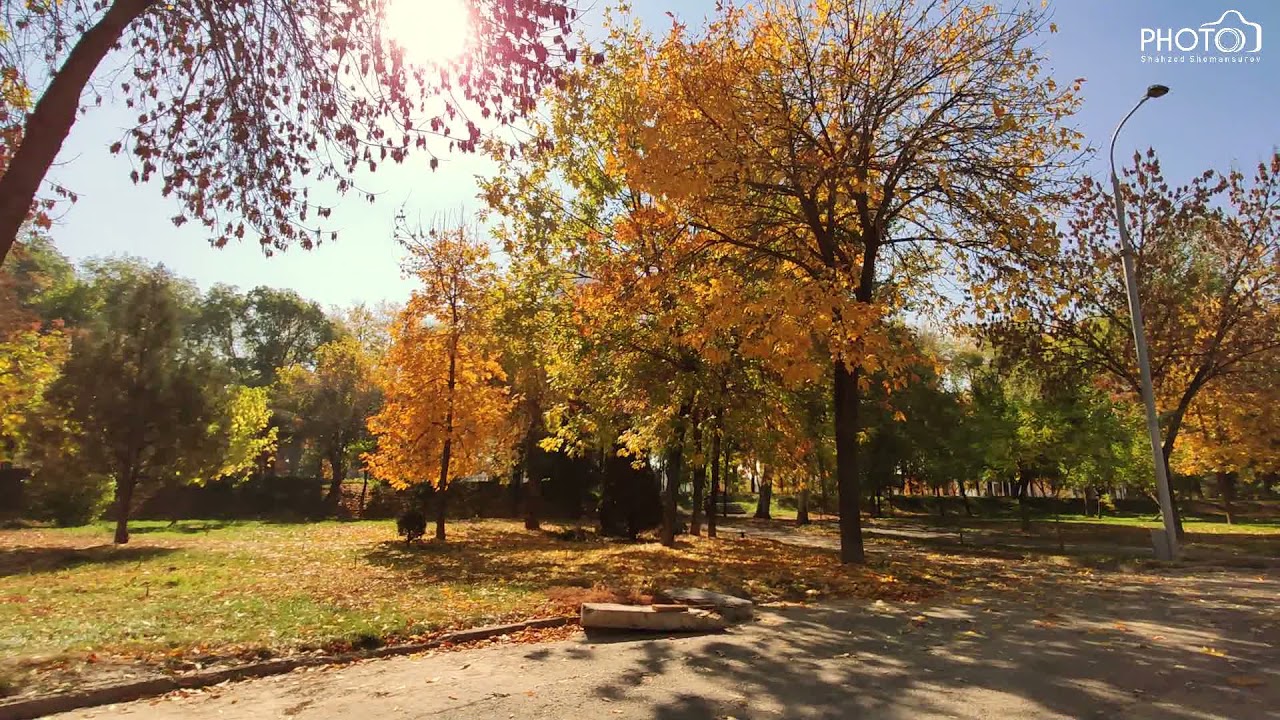 Autumn. Tashkent - Kuz. Tashkent