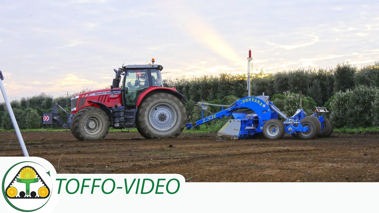 Livellamento terreno | 2x MASSEY FERGUSON + 2 FONTANA | Ground leveling 🚜💪
