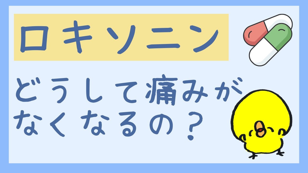 ロキソニンはどうして痛みがなくなるの？副作用や飲み方などを詳しく解説