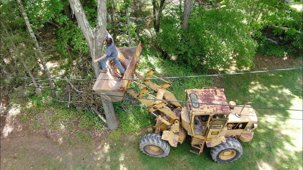 Pulling down a tree with a wheel loader