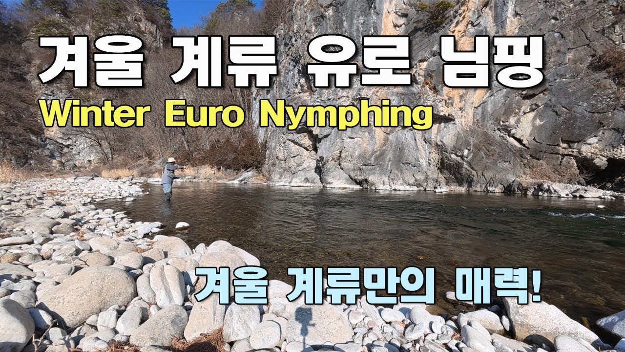 겨울 계류 유로 님핑 / Winter Euro Nymphing  / 겨울 계류만의 매력!