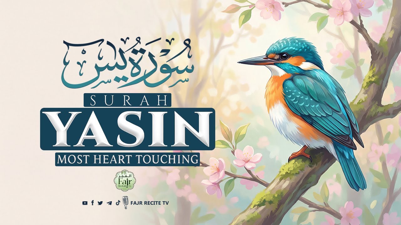 Surah Yasin (Yaseen) Full | Beautiful & Heart Touching Recitation | سورة يس | Al Fajr Recitation Tv