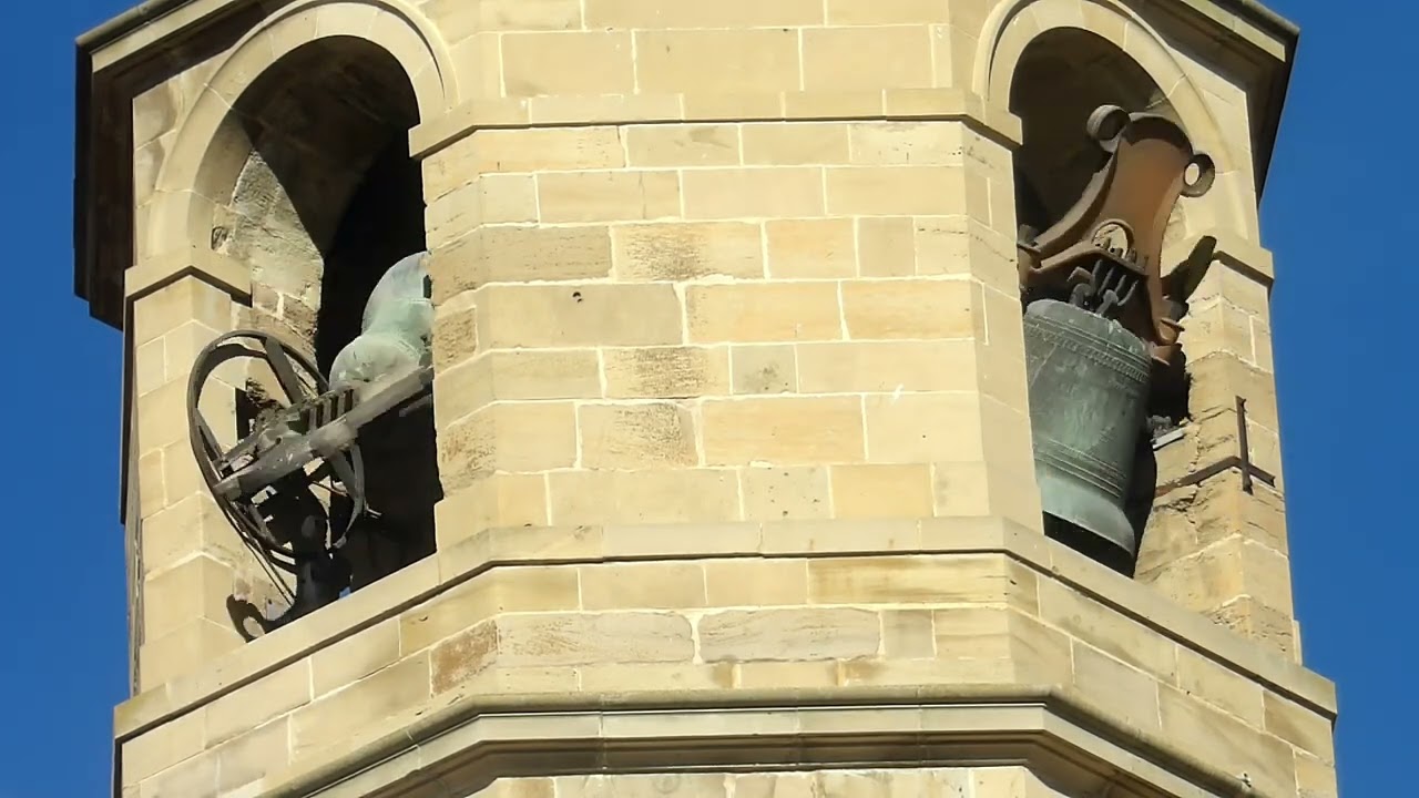 Volteo general de campanas en la parroquia de San Miguel Arcangel de Lodosa