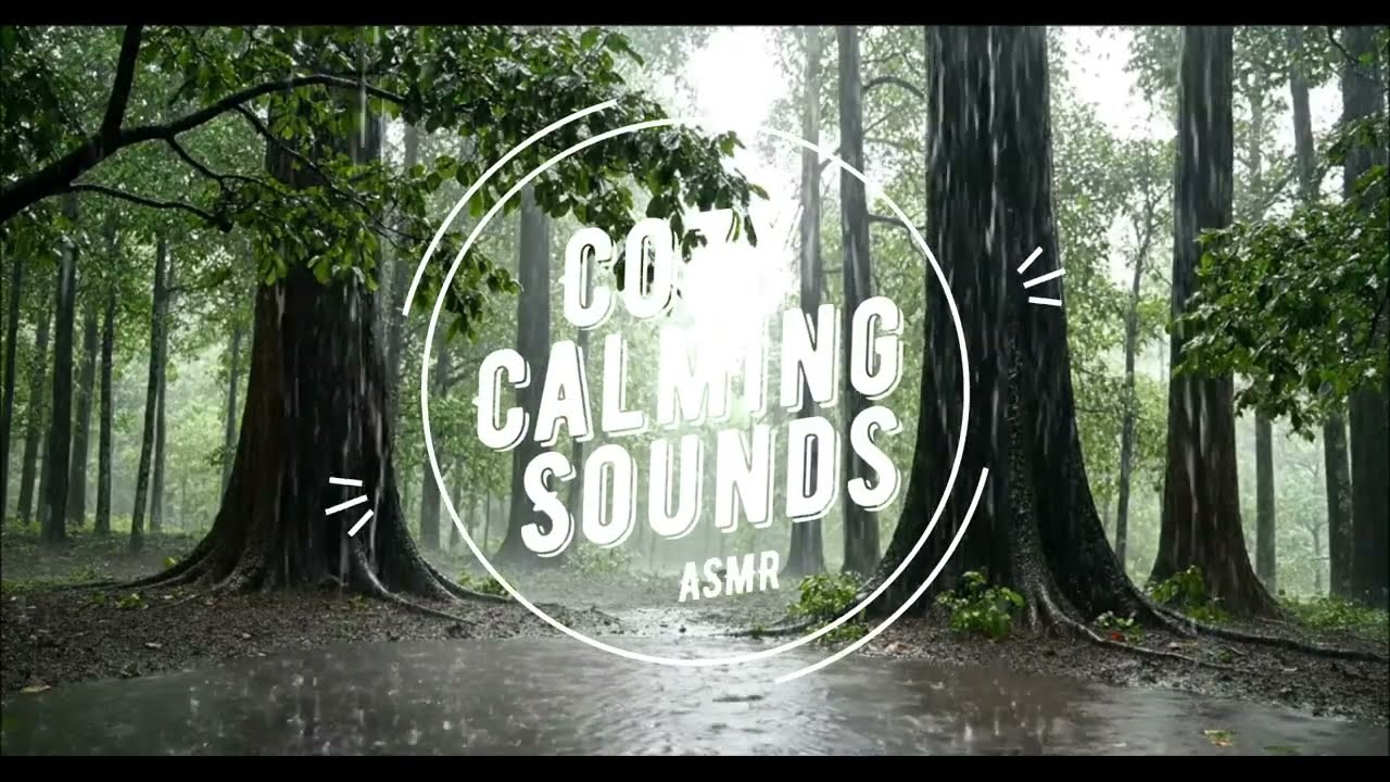 Heavy Rain Falling in the Forest - Relaxing Sounds for Sleeping