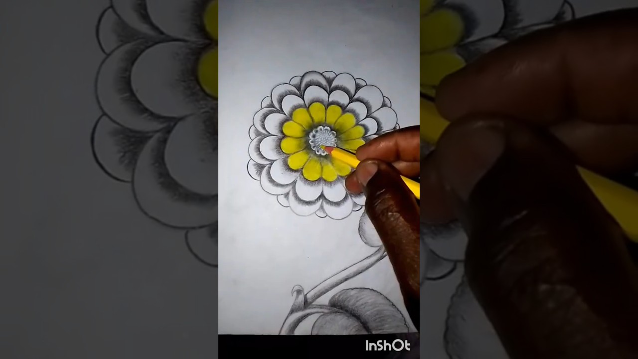 learn on how to draw this beautiful flower #drawing #art #subscribe #sketch #pencildrawing