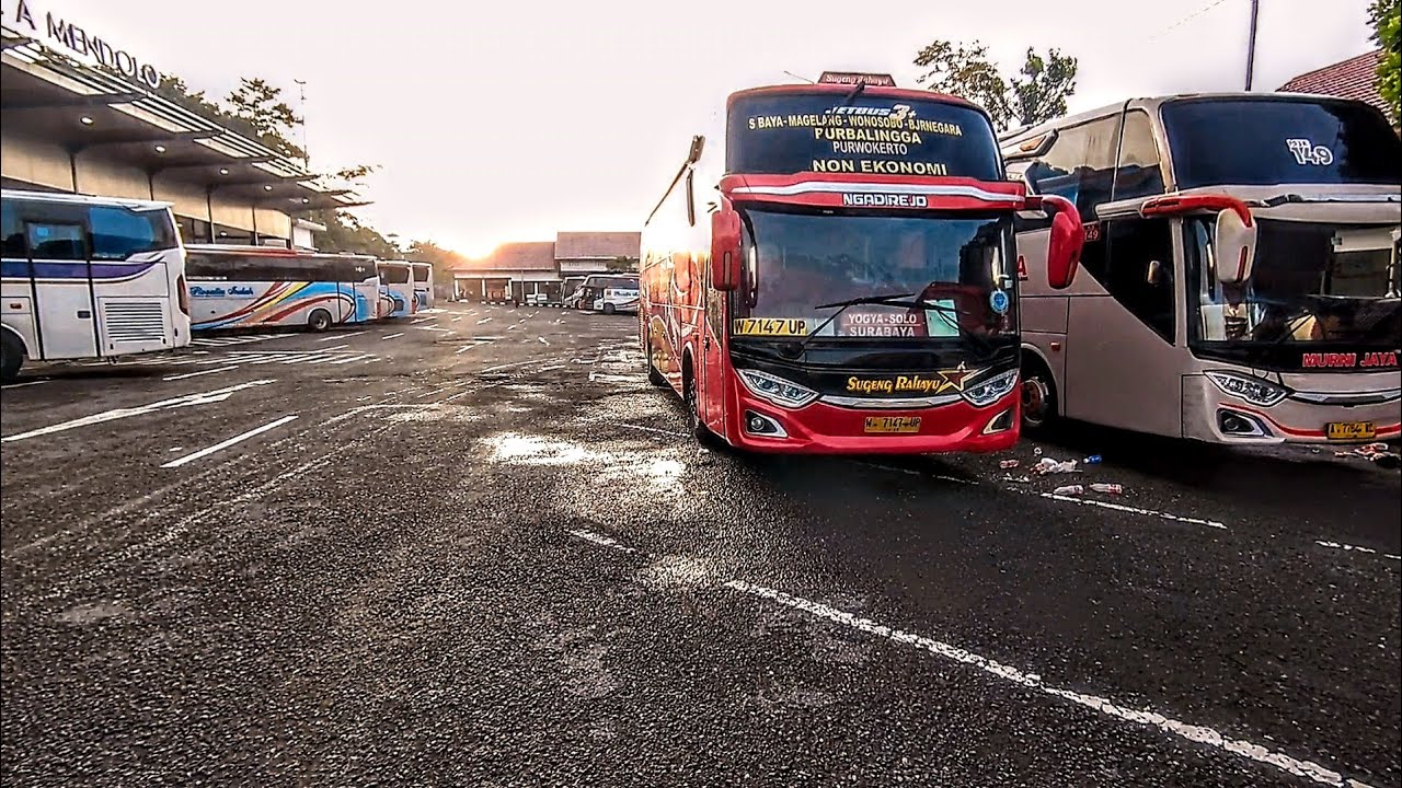 MATAHARI MULAI TERBIT DI TERMINAL MENDOLO WONOSOBO, SUGENG RAHAYU 7147 SUDAH BERSIH LUAR DALAM!