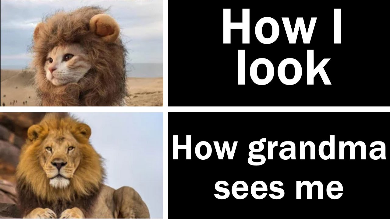Wholesome Memes Grandmas Approve
