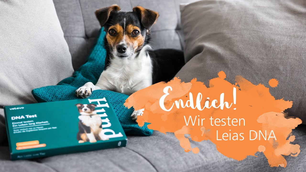 Leia wird getestet 🧬 Große Überraschung beim DNA-Test 😱