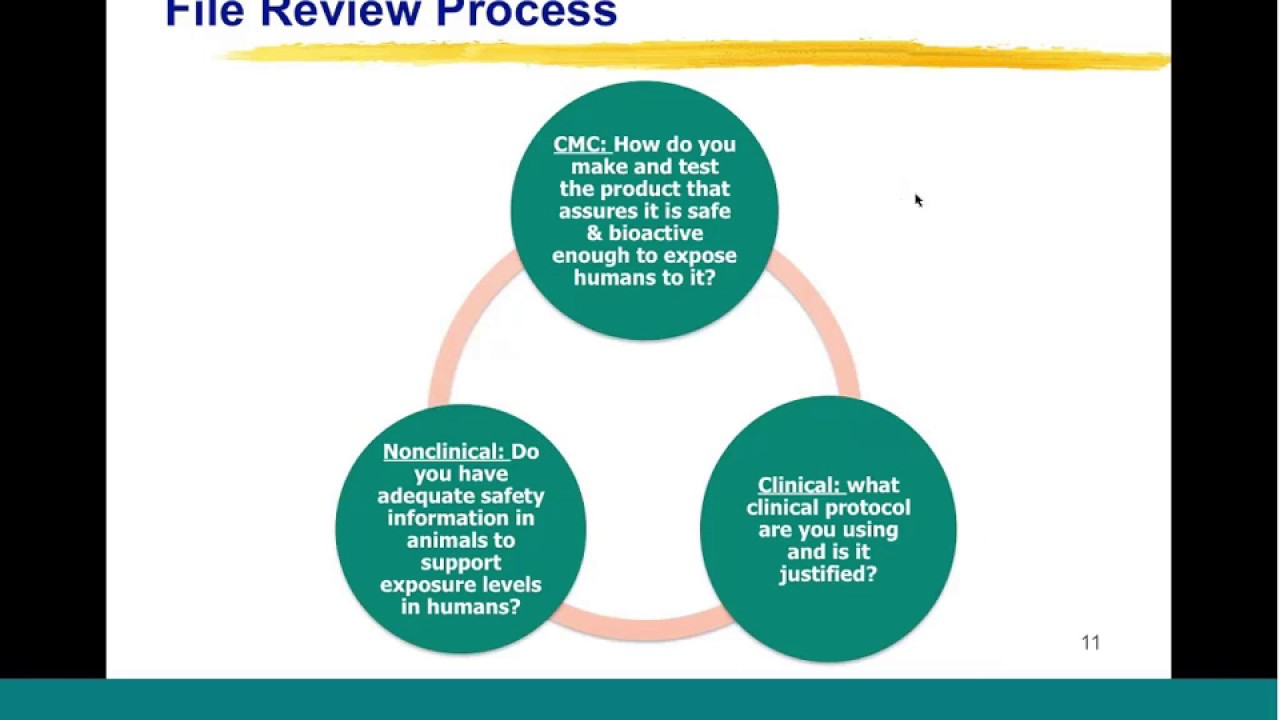 What's in an IND? Guide to Writing IND For Biologics