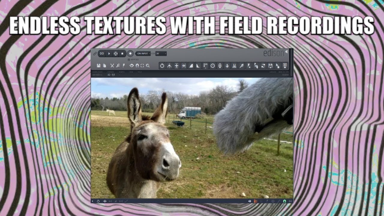 become a MASTER MANIPULATOR of FIELD RECORDINGS