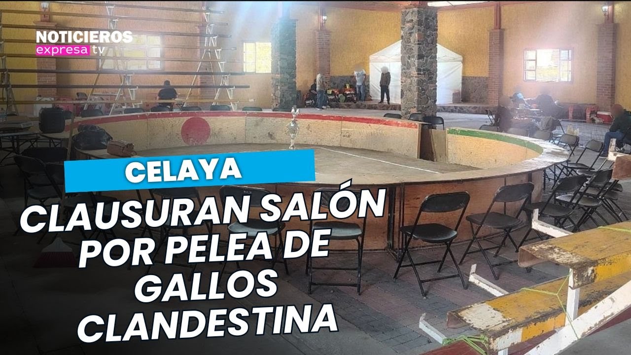 #Celaya l 🚔 Clausuran salón por pelea de gallos clandestina
