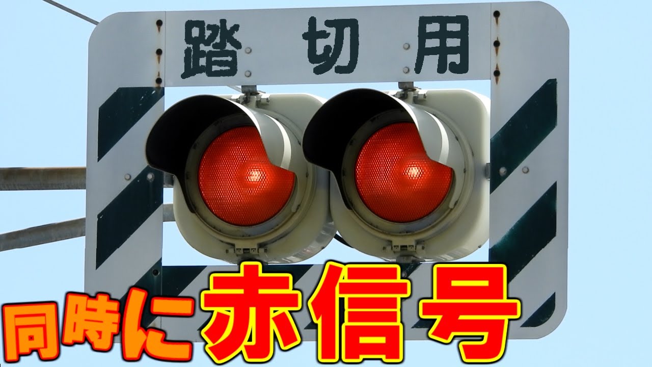 【まるで踏切】赤赤が同時に点灯する信号機！