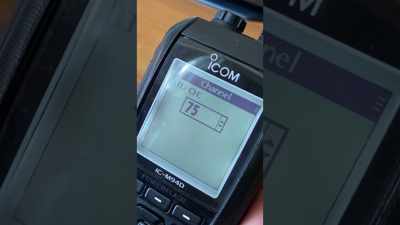 SP1B - DSC Call via AIS ICOM IC-M94D