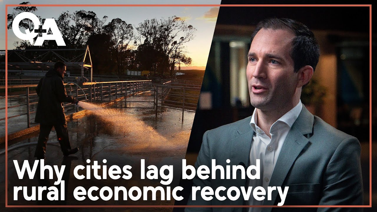 Rural sector buoys NZ's economic recovery, as thousands move to Australia | Q+A 2025