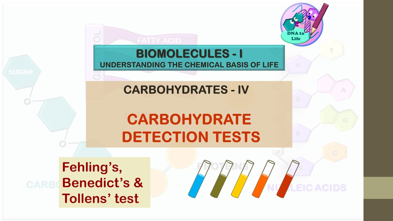 Carbohydrates detection test || Fehling's test || Benedict's test ||Tollens' test